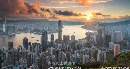 成人a视频-成人a视频，网络时代下的信息误用与教育引导