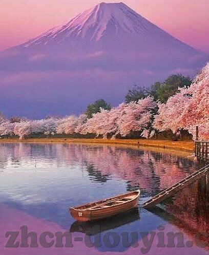 成人黄色视频在线-与网络伦理的边界探讨
