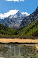 福利一区二区-探索福利一区二区的多元价值与影响