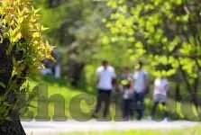 国产一区二区影视-国产一区二区影视，文化自信与艺术探索的双重维度