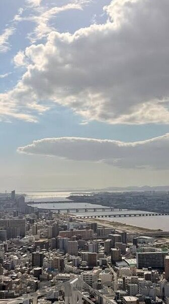 狐狸视频成人-狐狸视频，成人内容平台的双刃剑