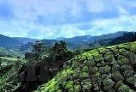日韩av写真视频网站-日韩AV写真视频网站，文化、艺术与隐私的边界探索