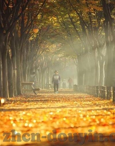 糖心app苹果版下载-解锁品味时刻，糖心app苹果版下载使用指南