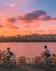 糖心vlog官网入口地址-品味生活多面风景——糖心Vlog官方平台探索记